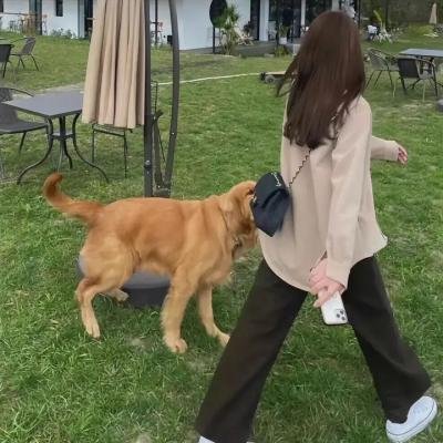 惊天阴谋