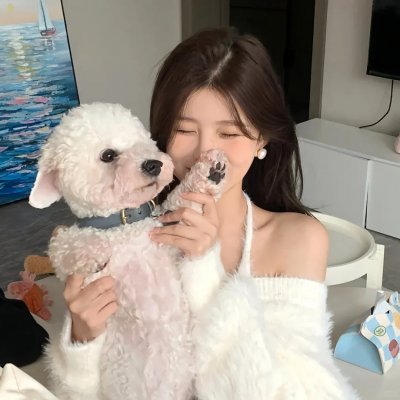 大侠梅花鹿